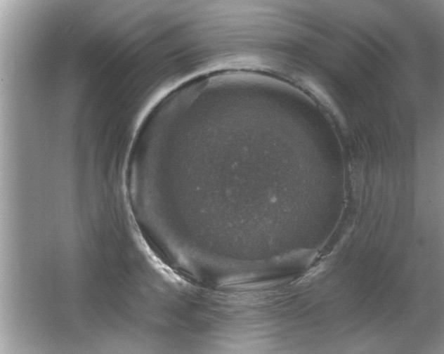 X0000065980944200603031151