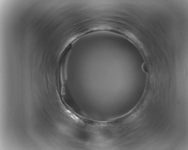 X0000065980945200603031151