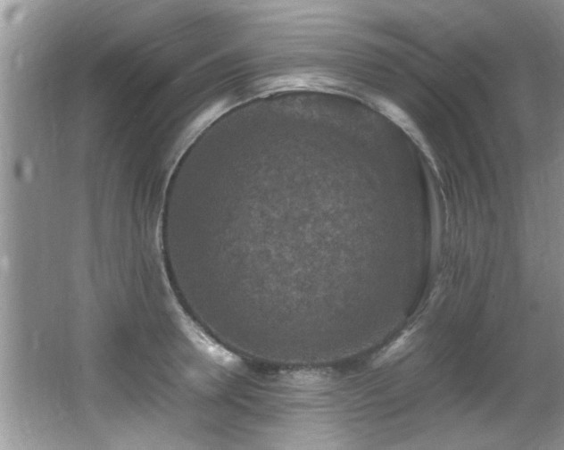 X0000065980946200603031151