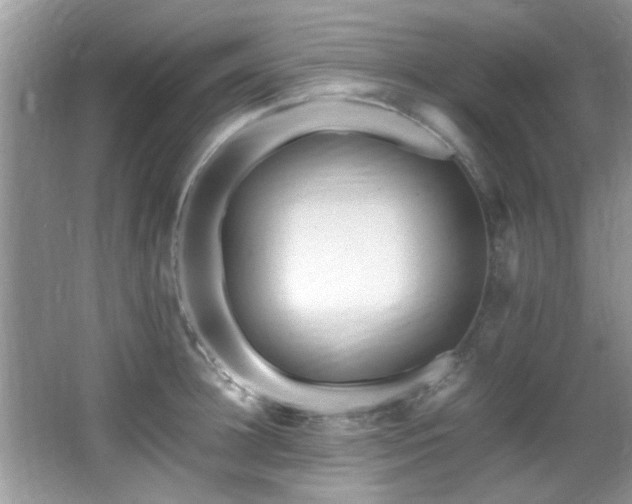 X0000065980948200603031151