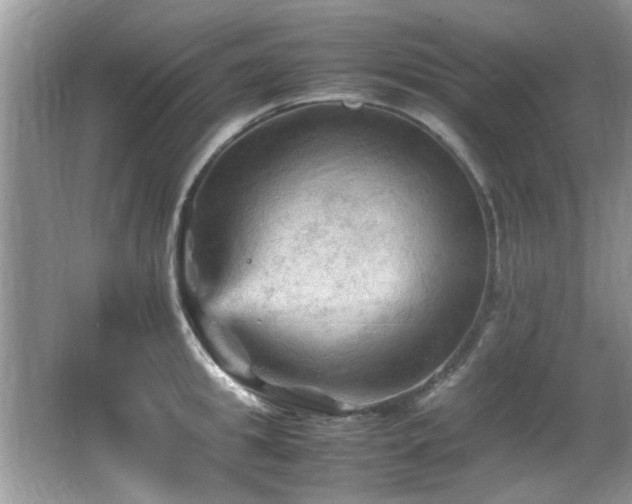 X0000065980949200603031151