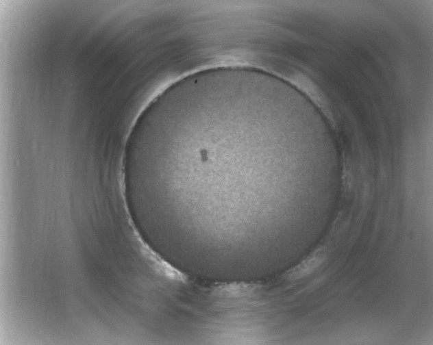 X0000065980950200603031151