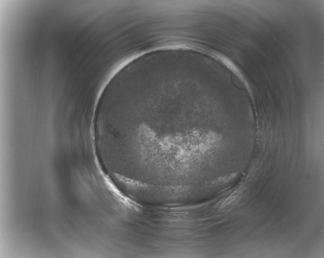 X0000065980951200603031151