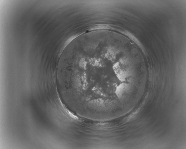 X0000065980953200603031151