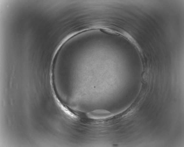 X0000065980955200603031151