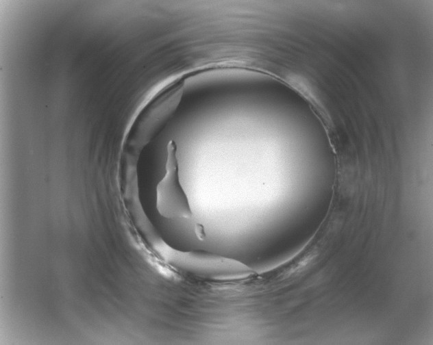 X0000065980956200603031151