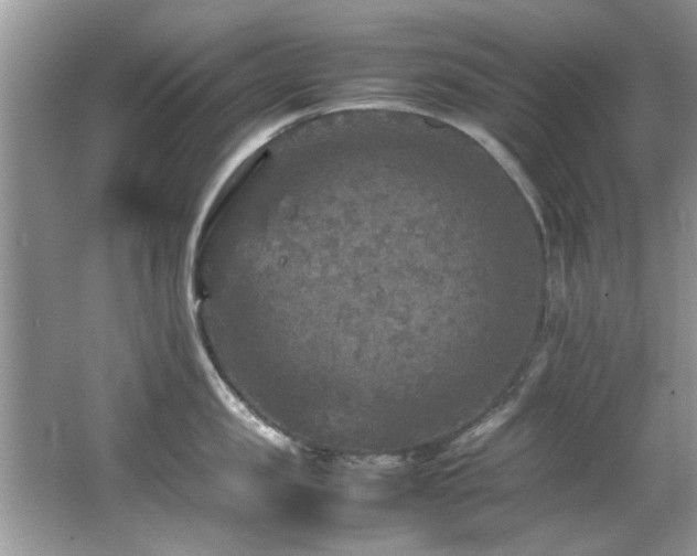 X0000065980957200603031151