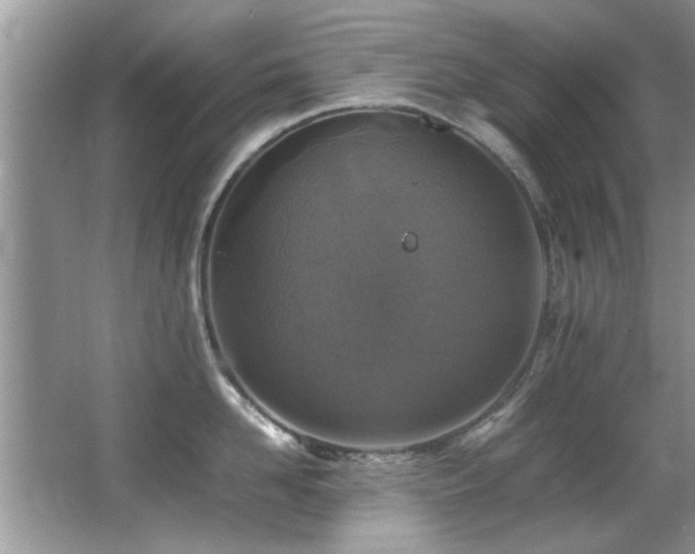 X0000065980958200603031151