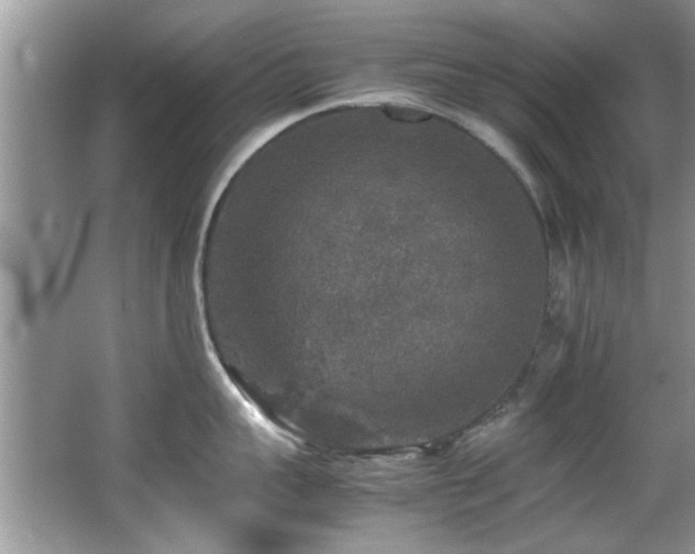 X0000065980959200603031151