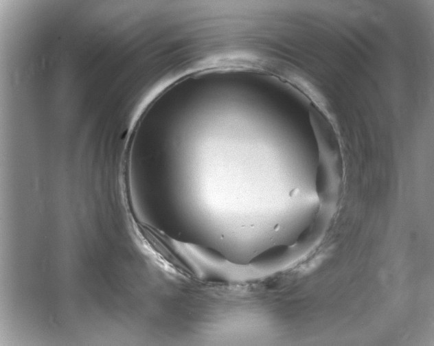 X0000065980960200603031151