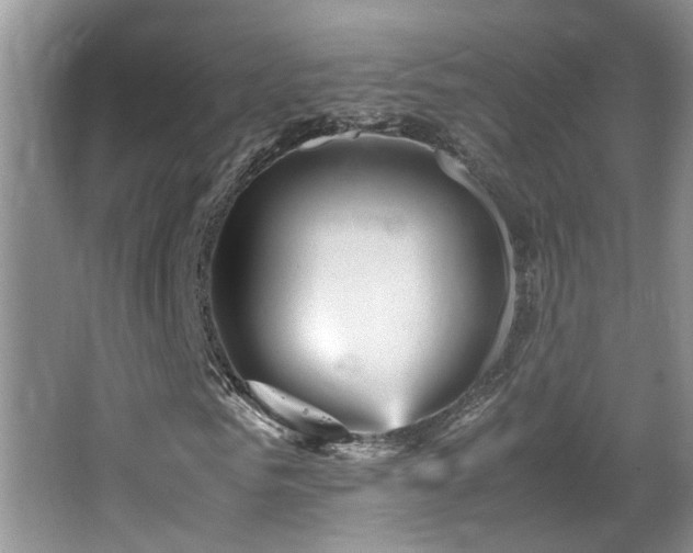 X0000065980961200603031150