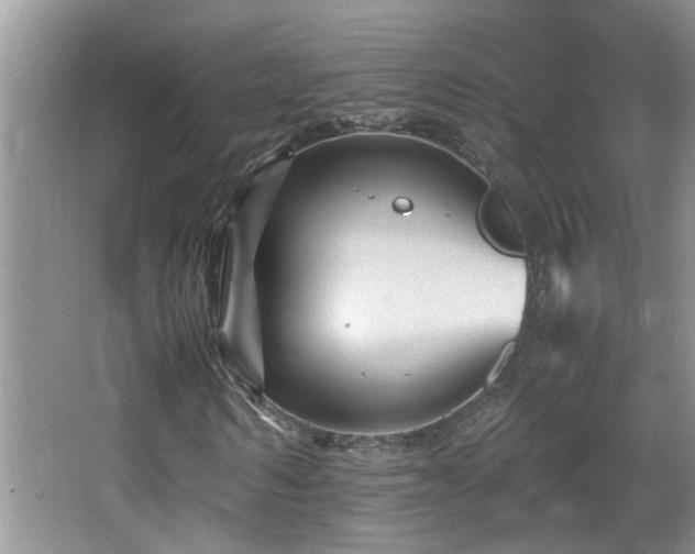 X0000065980962200603031150