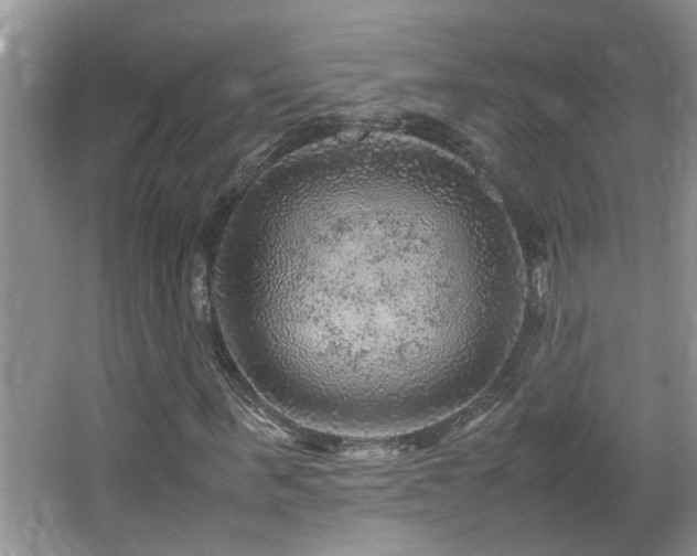 X0000065980963200603031150