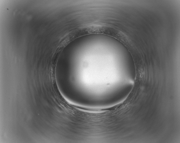 X0000065980964200603031150