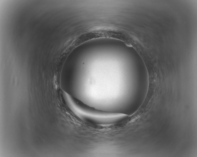 X0000065980965200603031150