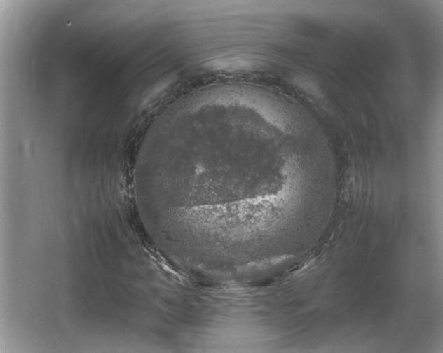 X0000065980966200603031150