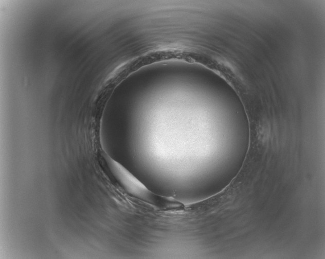 X0000065980968200603031150