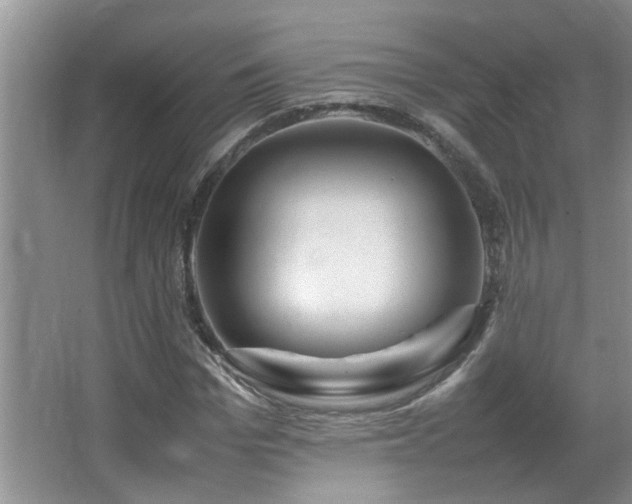 X0000065980969200603031150