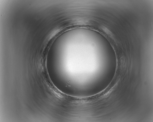 X0000065980970200603031150