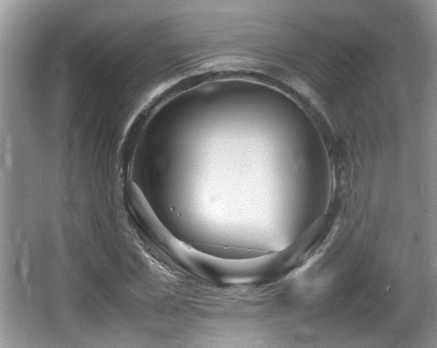 X0000065980973200603031150