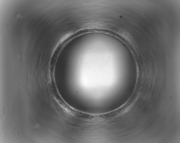 X0000065980974200603031150