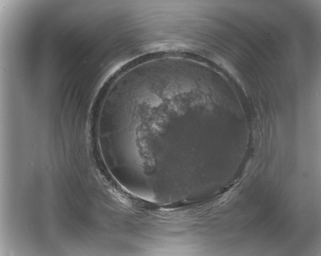 X0000065980975200603031150