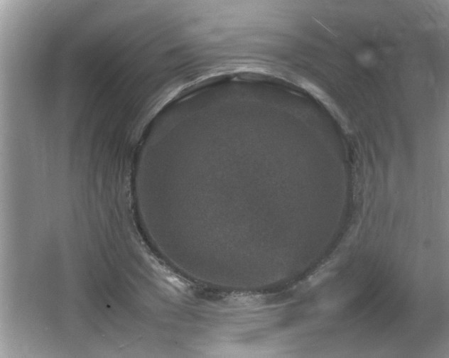 X0000065980977200603031150