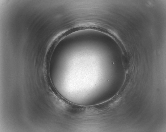 X0000065980979200603031150