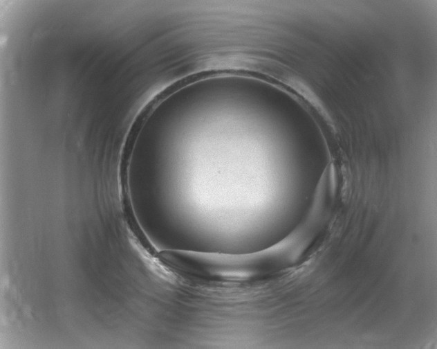 X0000065980980200603031150