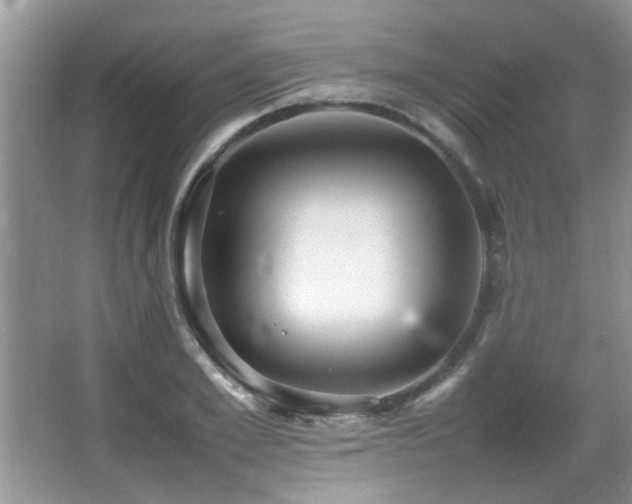 X0000065980981200603031150