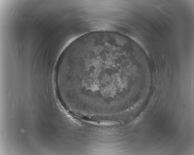 X0000065980983200603031150