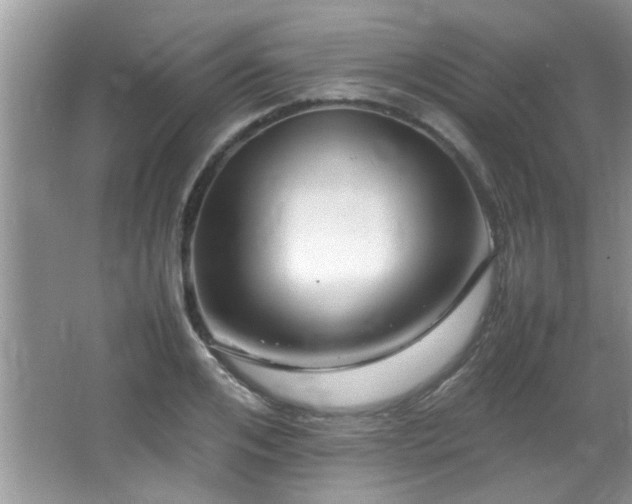 X0000065980984200603031150