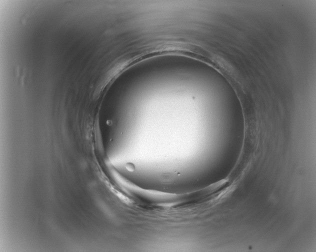 X0000065980985200603031150