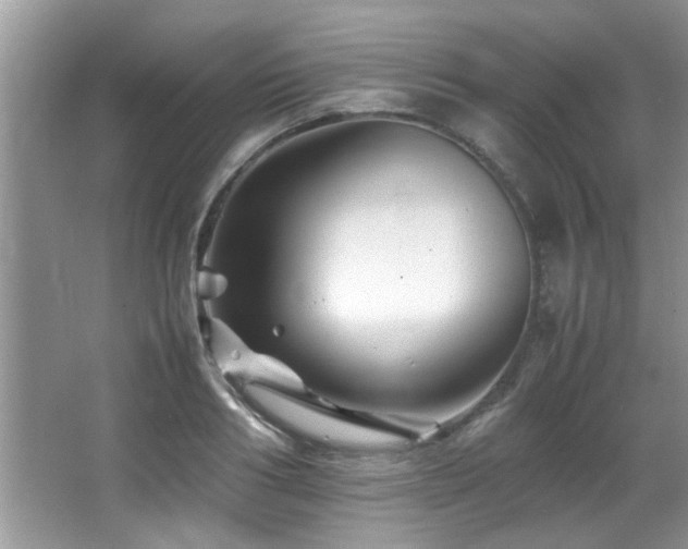 X0000065980986200603031150