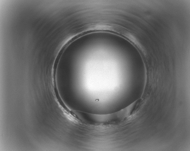 X0000065980988200603031150