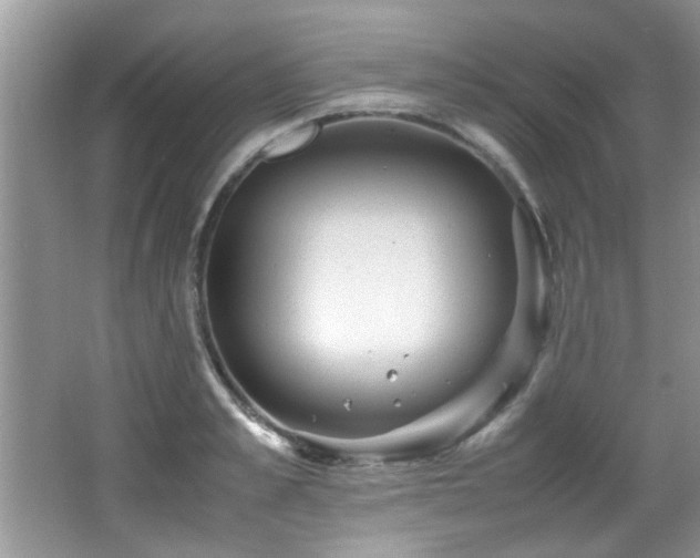 X0000065980989200603031150