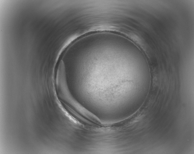 X0000065980990200603031150