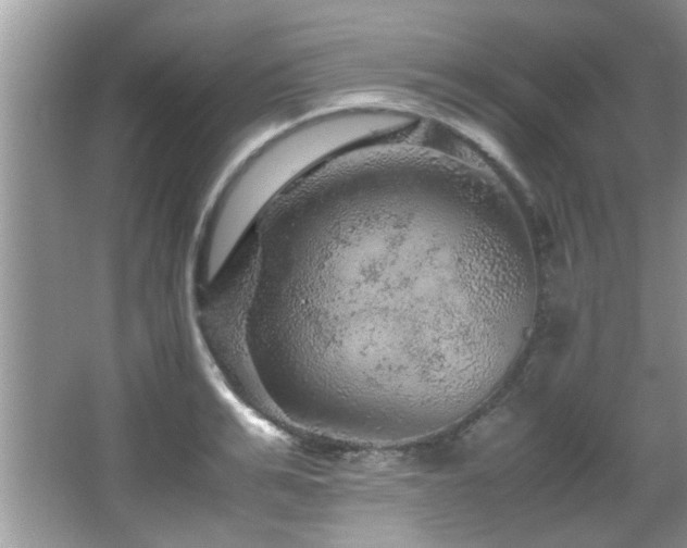 X0000065980991200603031150