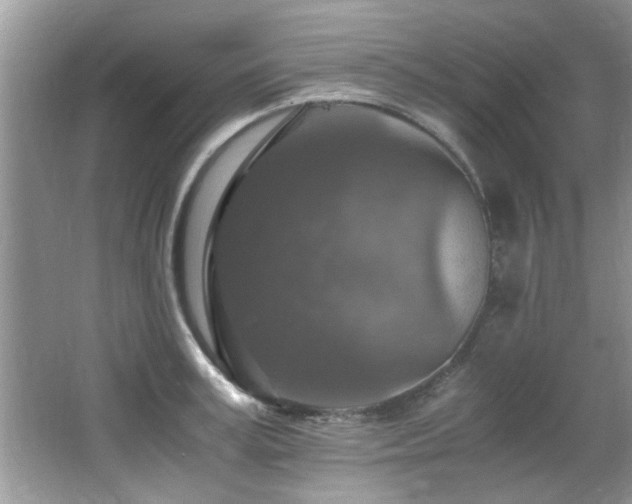 X0000065980995200603031150