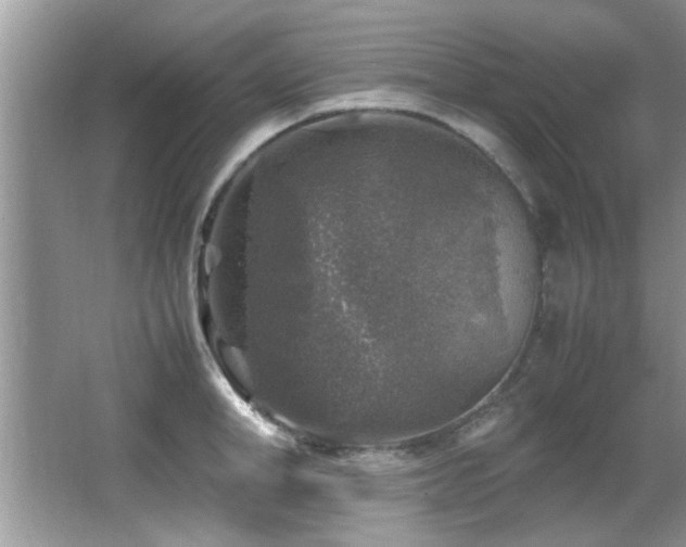 X0000065980998200603031150