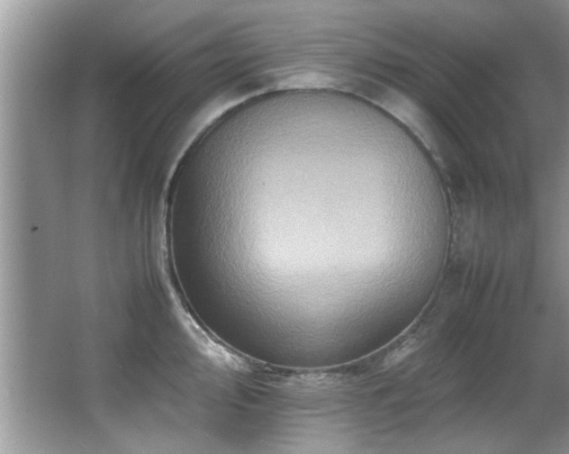 X0000065981000200603031150