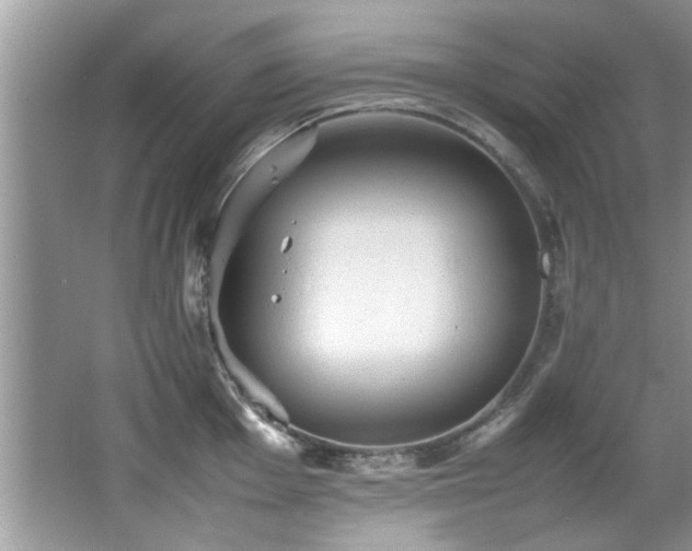 X0000065981001200603031150