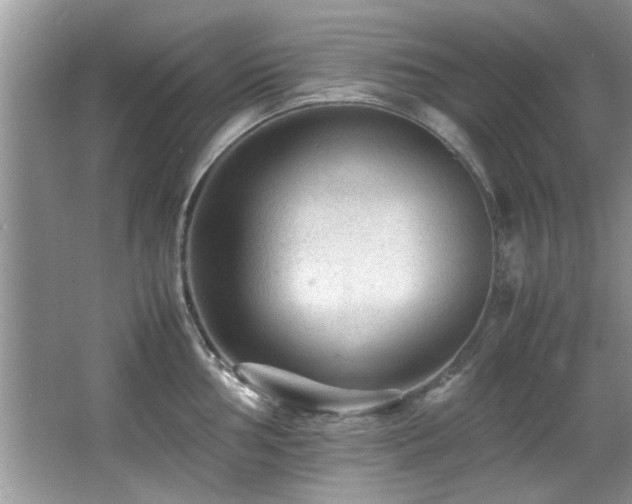 X0000065981002200603031150