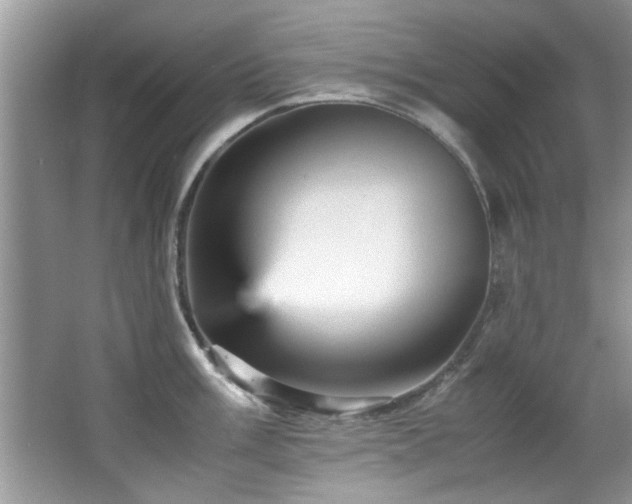 X0000065981003200603031150