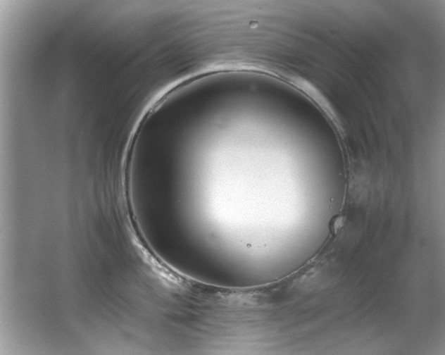 X0000065981004200603031150