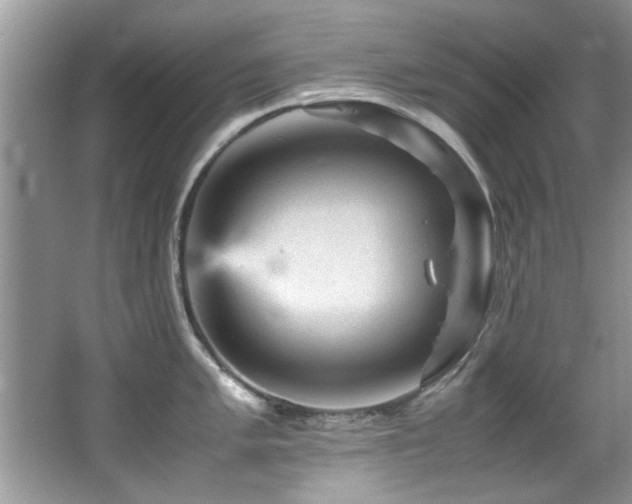 X0000065981005200603031150