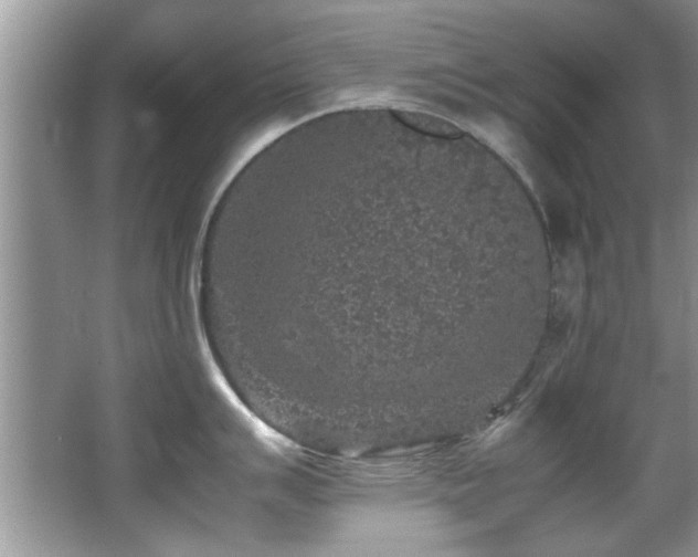 X0000065981007200603031150