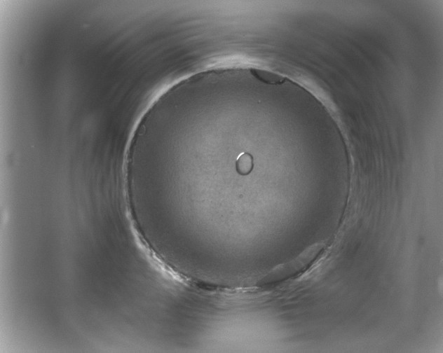 X0000065981008200603031150