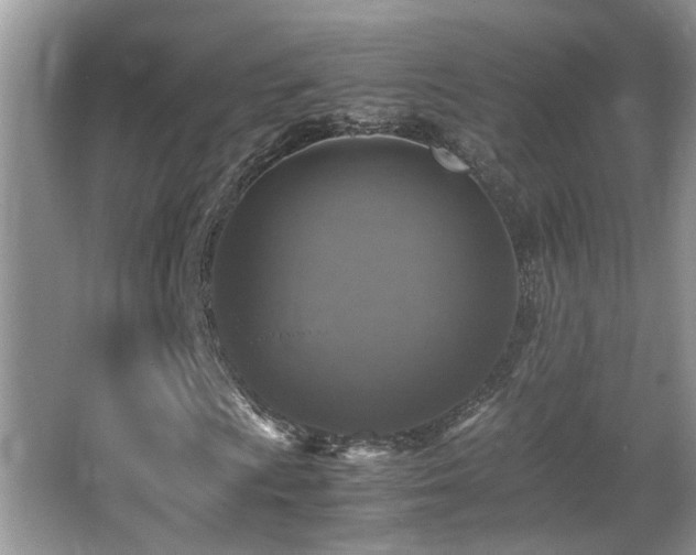 X0000065981009200603031149