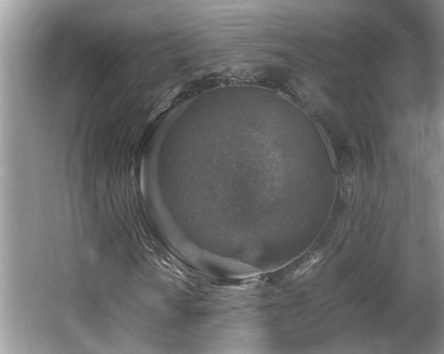 X0000065981010200603031149